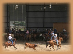 team roping pic